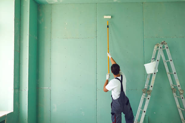 Best Cabinet Painting and Refinishing  in Aztec, NM